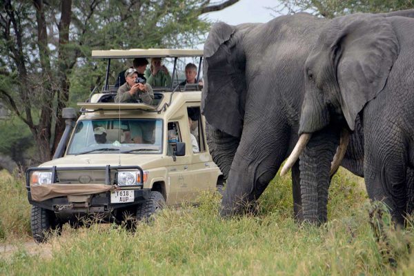tarangire-national-park-day-trip